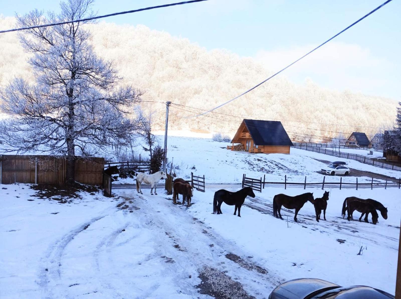 Vikendica Nole Jahorina Villa Pale Luaran gambar